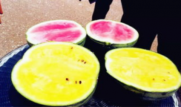 南充吃瓜爆料公司有哪些,吃瓜爆料公司大盘点